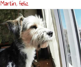 Martín, feliz