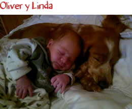 Oliver y Linda
