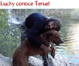 Lucky conoce Teruel