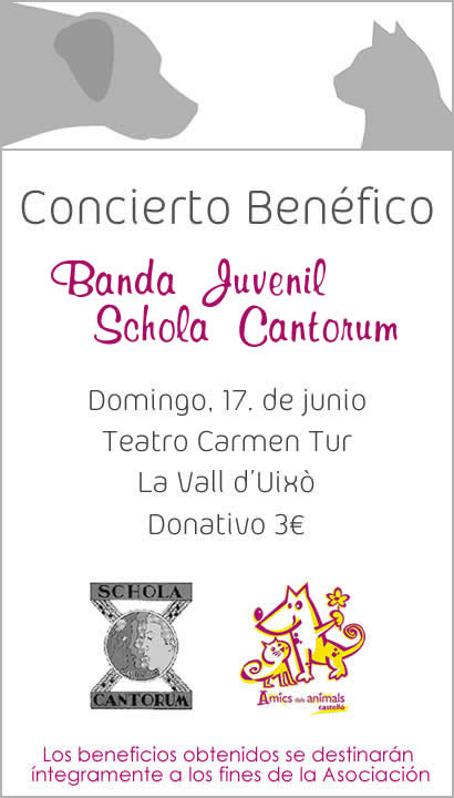 Concierto Benéfico de la Banda Juvenil del Ateneo Musical Schola Cantorum
