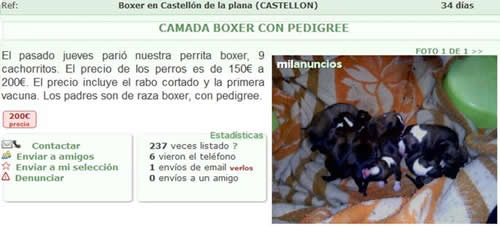 Venta ilegal de animales Venta ilegal de animales