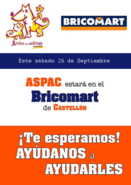 ASPAC en Bricomart (Castellón)