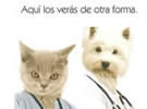 Terapia con mascotas en el Centro NOVAIRE de Vila-real
