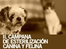 II.Campaña de esterilización canina y felina