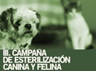 III.Campaña de esterilización canina y felina