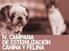 IV.Campaña de esterilización canina y felina