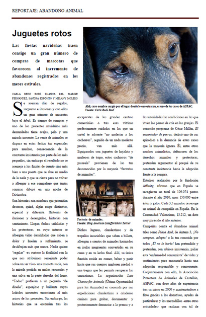 "Juguetes rotos": reportaje sobre el abandono animal (pdf)